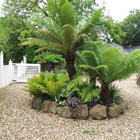 Pleasant Streams Barn Bed & Breakfast St Austell Dış mekan fotoğraf
